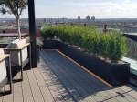 Clarity Composite Decking - Graphite