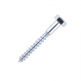 M10 Coach Screw